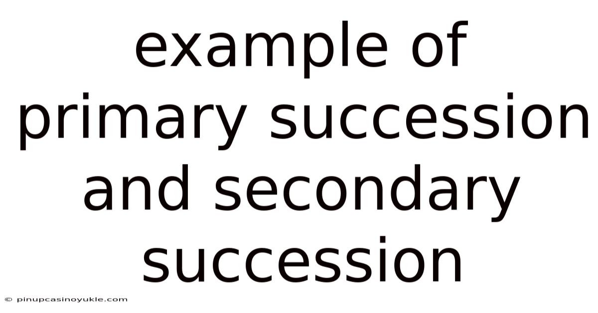 Example Of Primary Succession And Secondary Succession