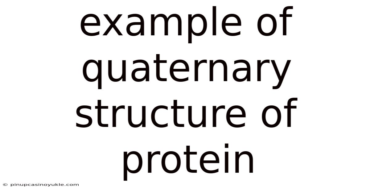 Example Of Quaternary Structure Of Protein