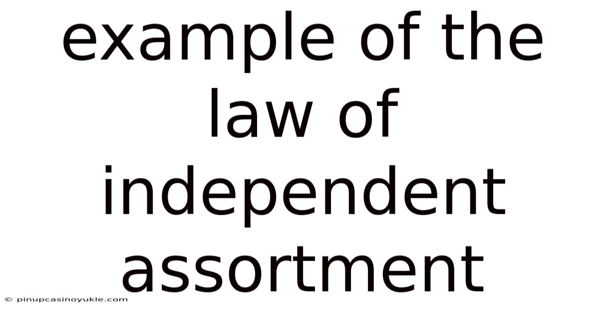 Example Of The Law Of Independent Assortment