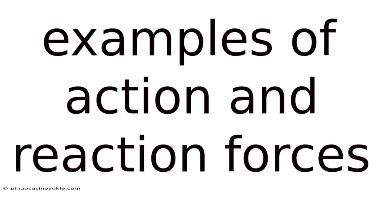 Examples Of Action And Reaction Forces