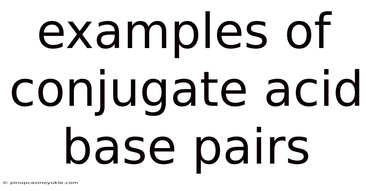 Examples Of Conjugate Acid Base Pairs