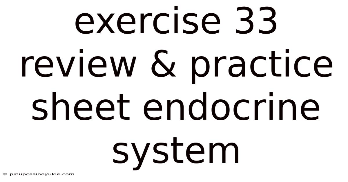 Exercise 33 Review & Practice Sheet Endocrine System