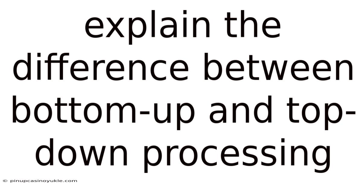 Explain The Difference Between Bottom-up And Top-down Processing