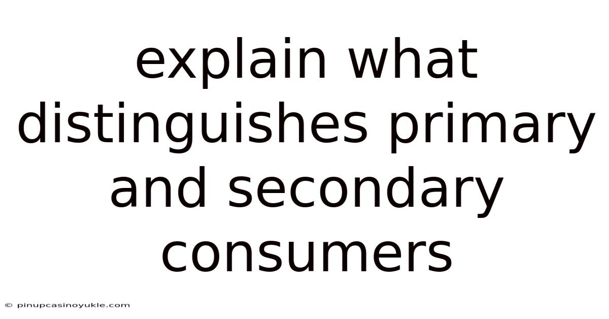 Explain What Distinguishes Primary And Secondary Consumers
