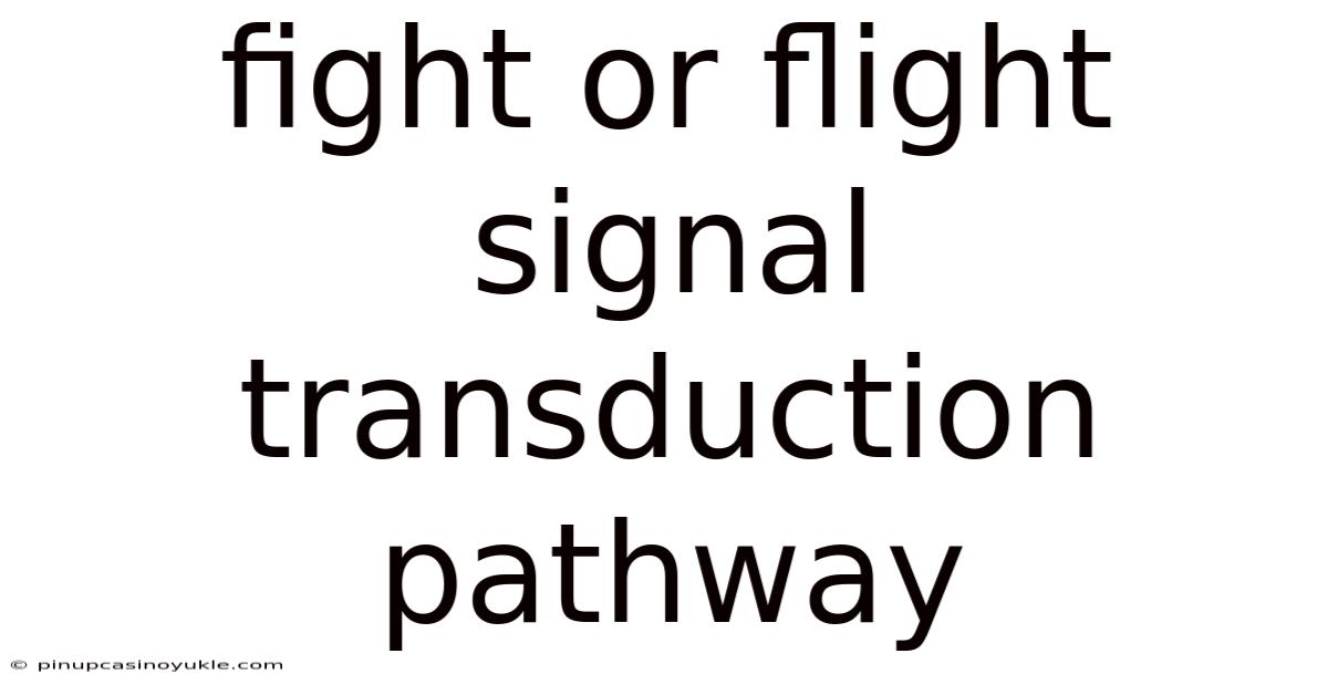Fight Or Flight Signal Transduction Pathway