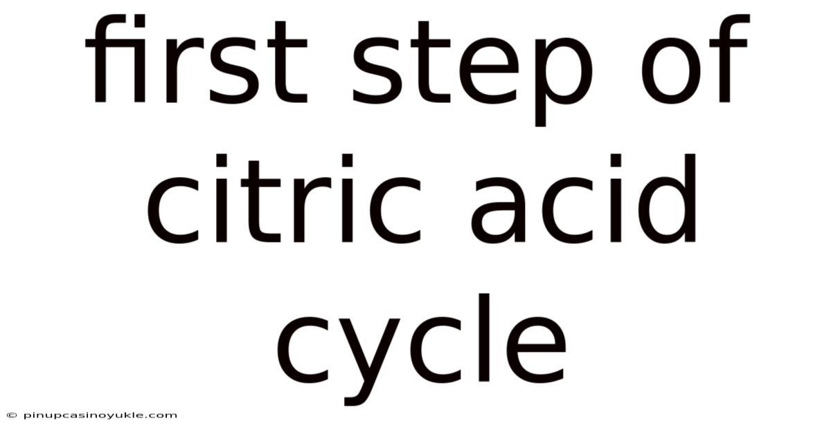 First Step Of Citric Acid Cycle