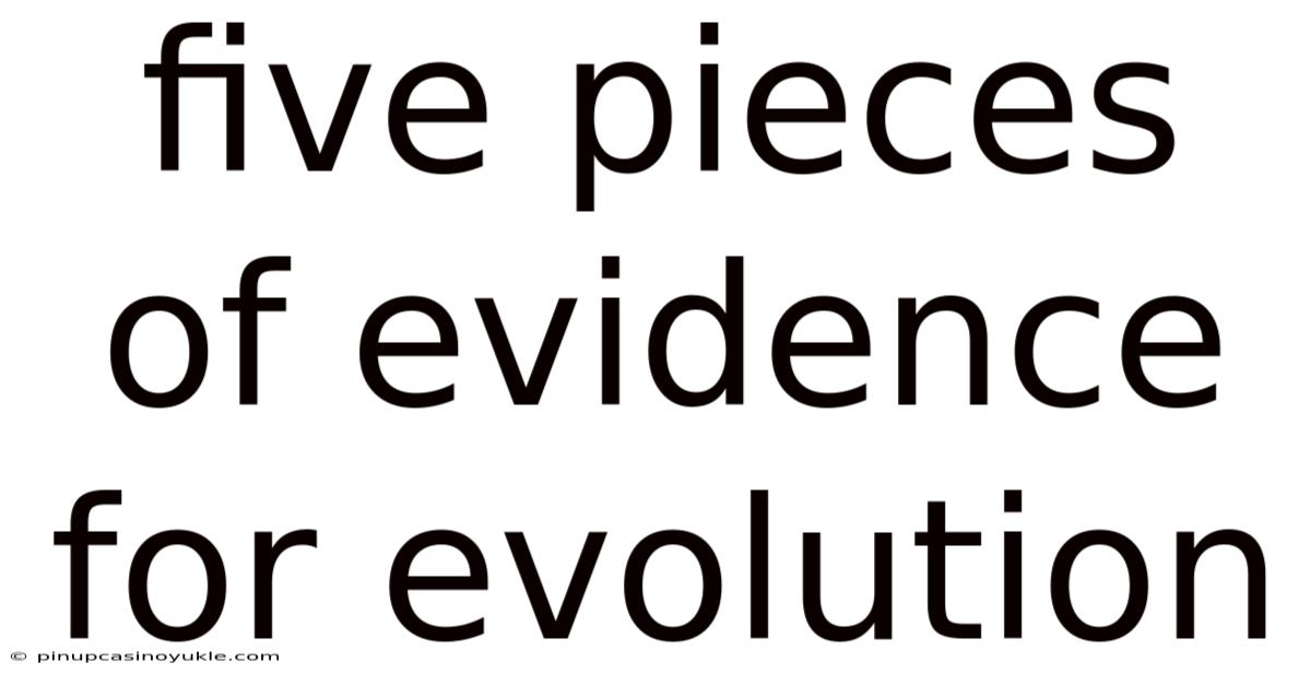 Five Pieces Of Evidence For Evolution