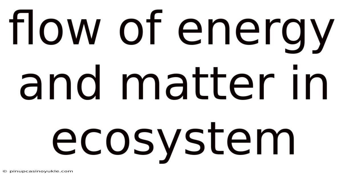 Flow Of Energy And Matter In Ecosystem