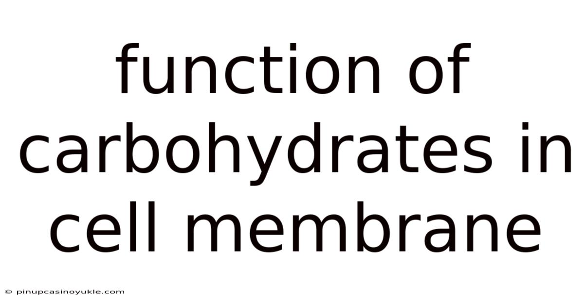 Function Of Carbohydrates In Cell Membrane