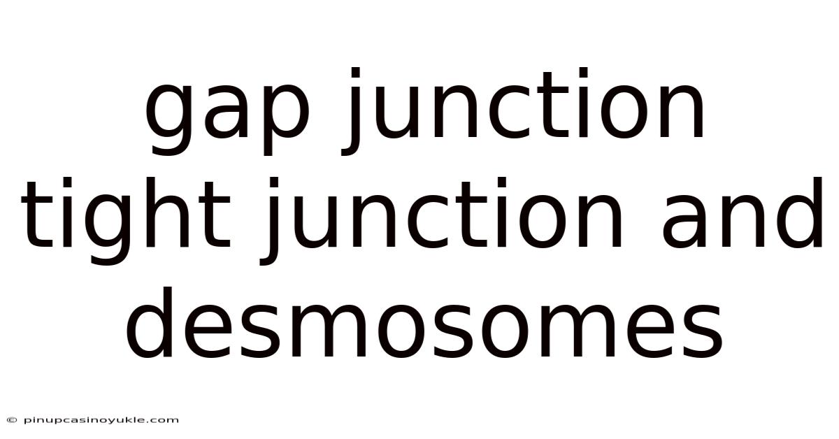 Gap Junction Tight Junction And Desmosomes