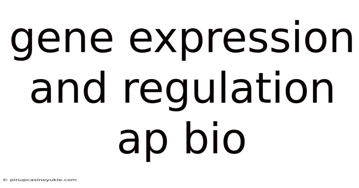 Gene Expression And Regulation Ap Bio
