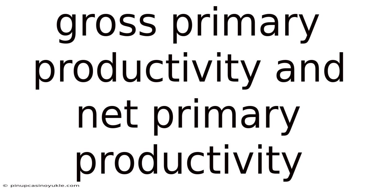 Gross Primary Productivity And Net Primary Productivity