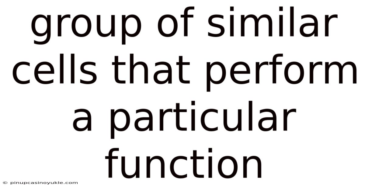 Group Of Similar Cells That Perform A Particular Function
