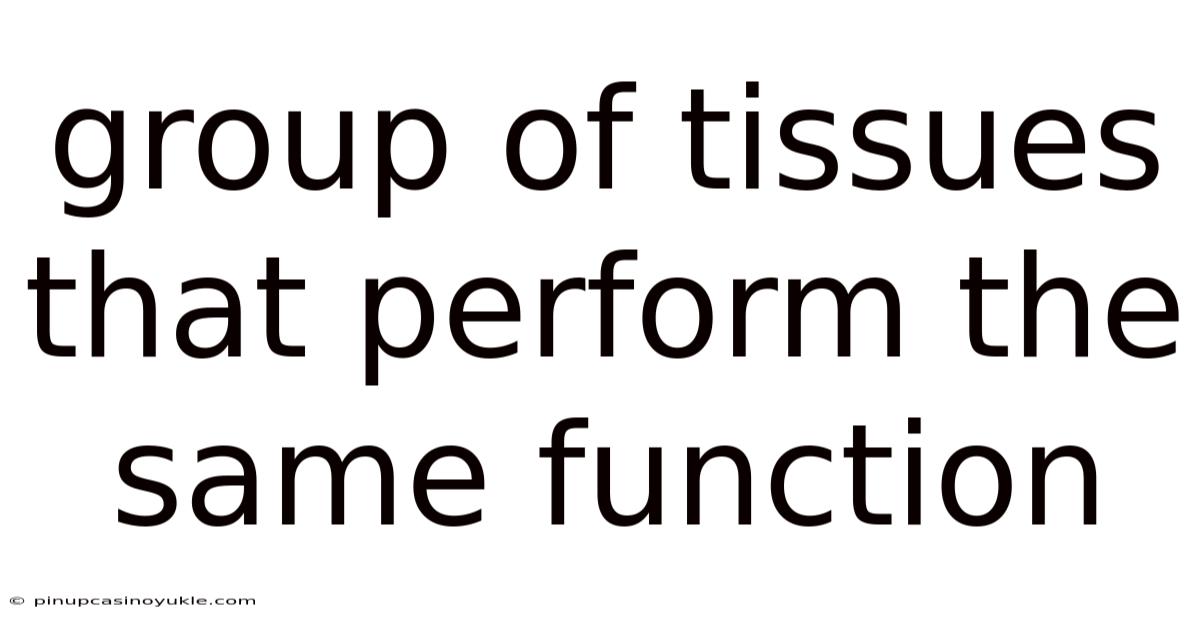 Group Of Tissues That Perform The Same Function