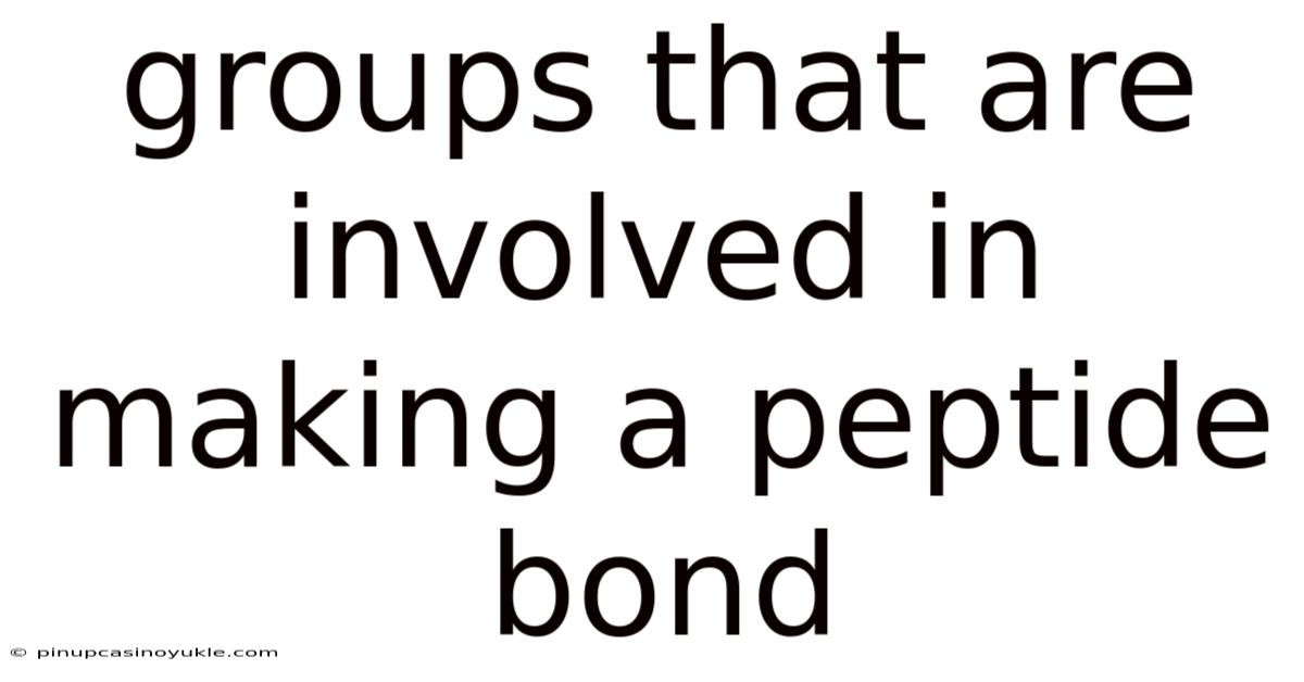 Groups That Are Involved In Making A Peptide Bond