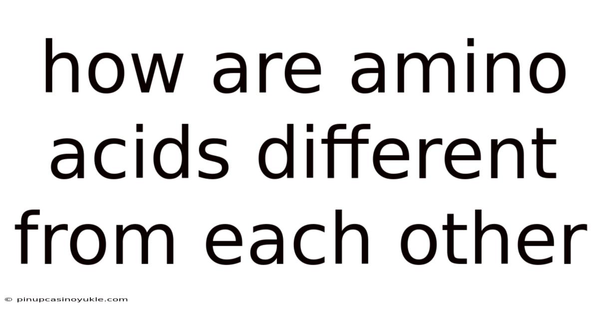 How Are Amino Acids Different From Each Other