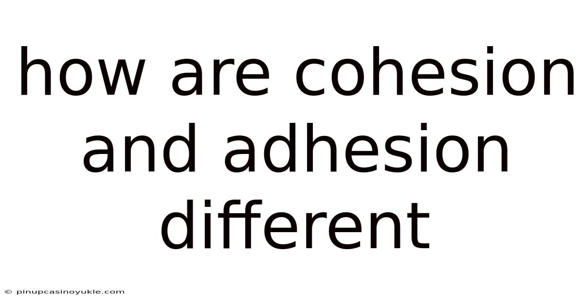 How Are Cohesion And Adhesion Different