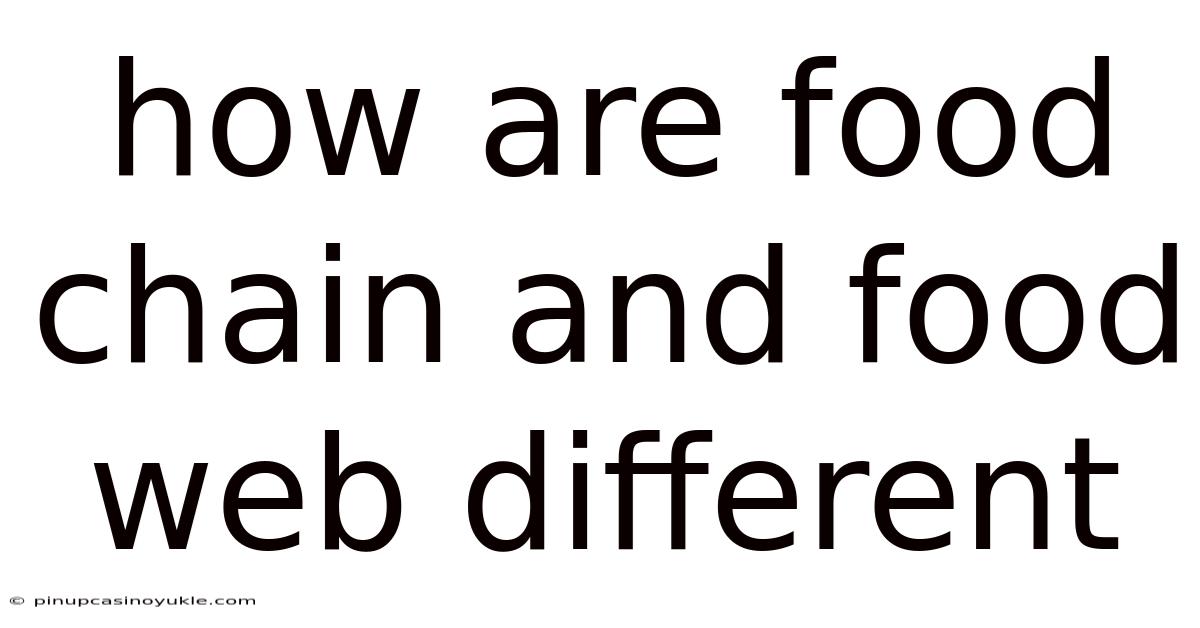 How Are Food Chain And Food Web Different