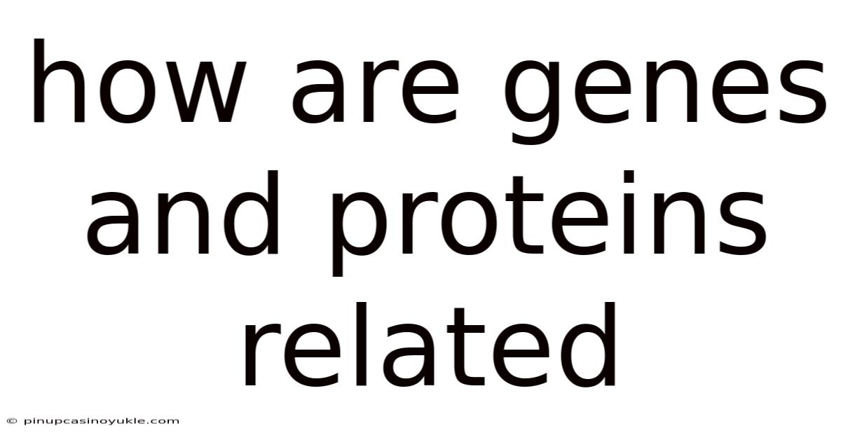 How Are Genes And Proteins Related