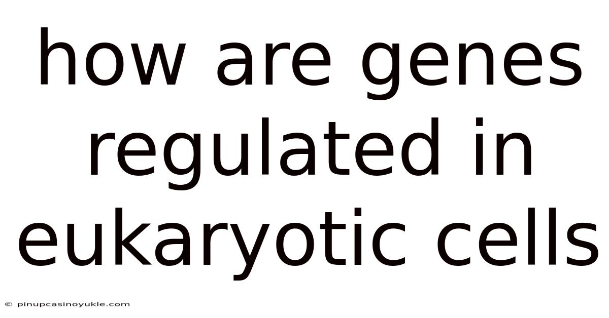 How Are Genes Regulated In Eukaryotic Cells