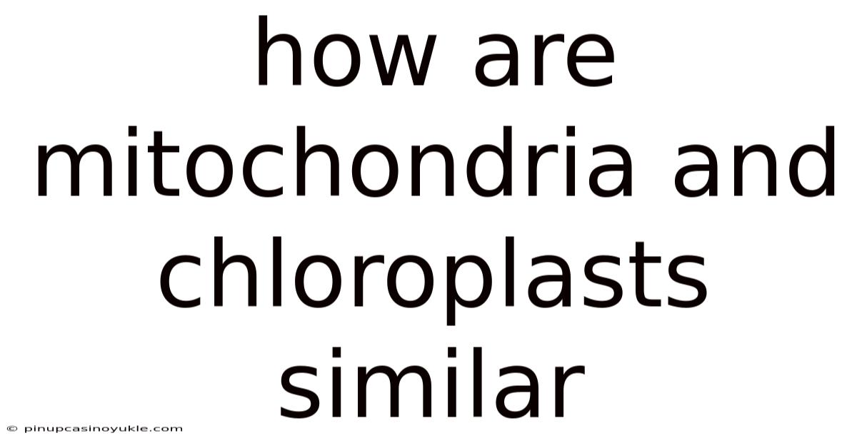 How Are Mitochondria And Chloroplasts Similar