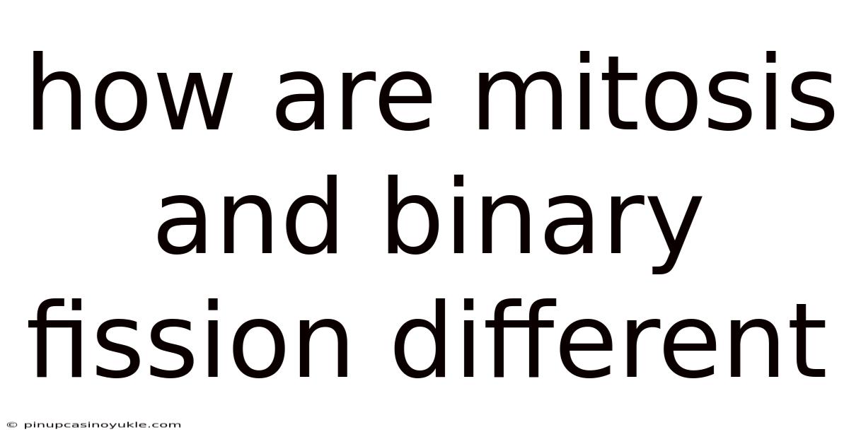 How Are Mitosis And Binary Fission Different