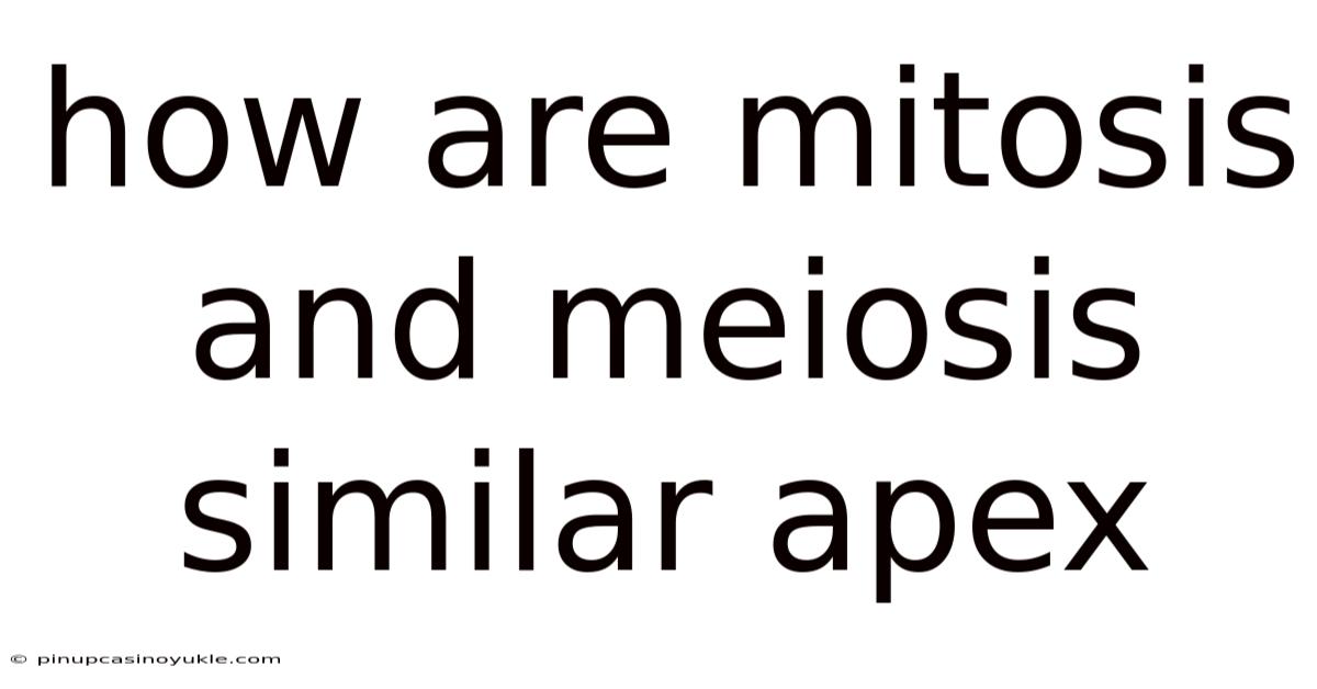 How Are Mitosis And Meiosis Similar Apex
