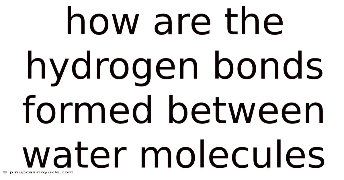 How Are The Hydrogen Bonds Formed Between Water Molecules