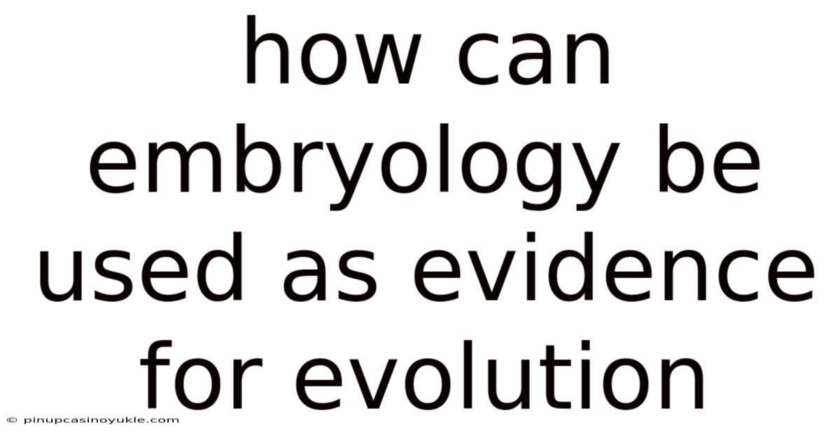 How Can Embryology Be Used As Evidence For Evolution