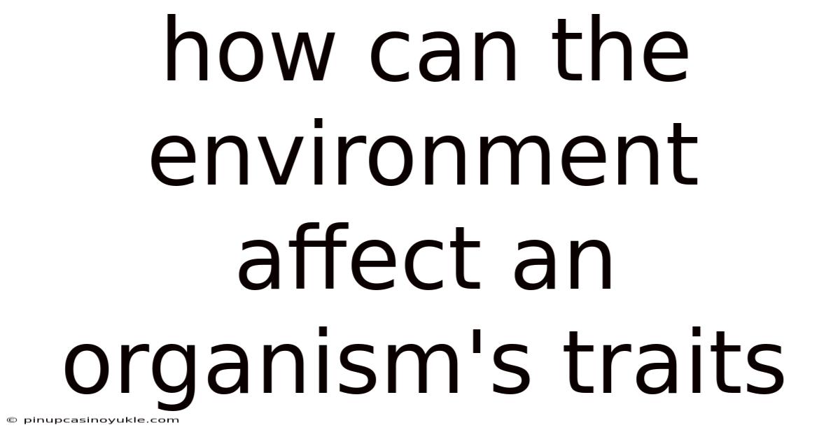 How Can The Environment Affect An Organism's Traits