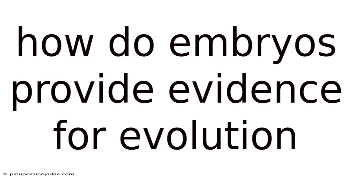 How Do Embryos Provide Evidence For Evolution