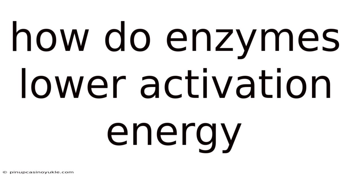 How Do Enzymes Lower Activation Energy