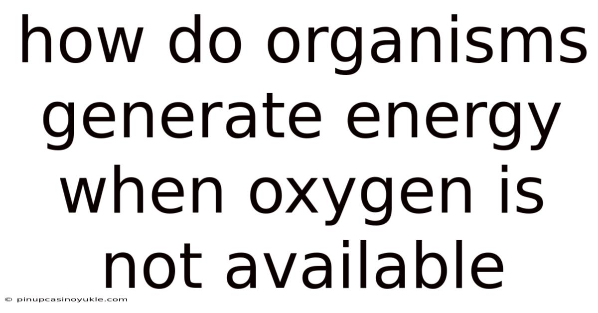 How Do Organisms Generate Energy When Oxygen Is Not Available
