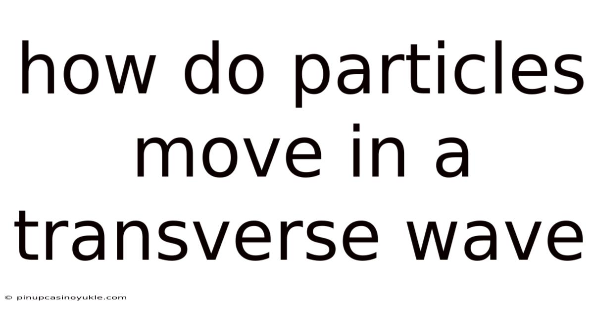 How Do Particles Move In A Transverse Wave