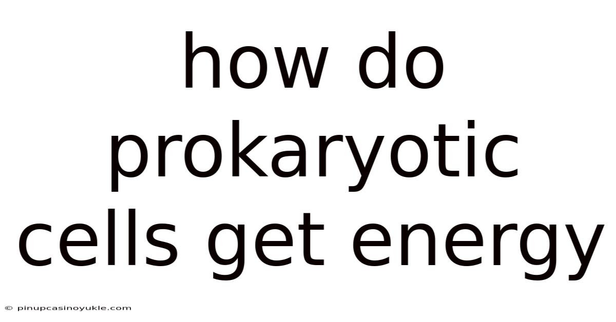 How Do Prokaryotic Cells Get Energy