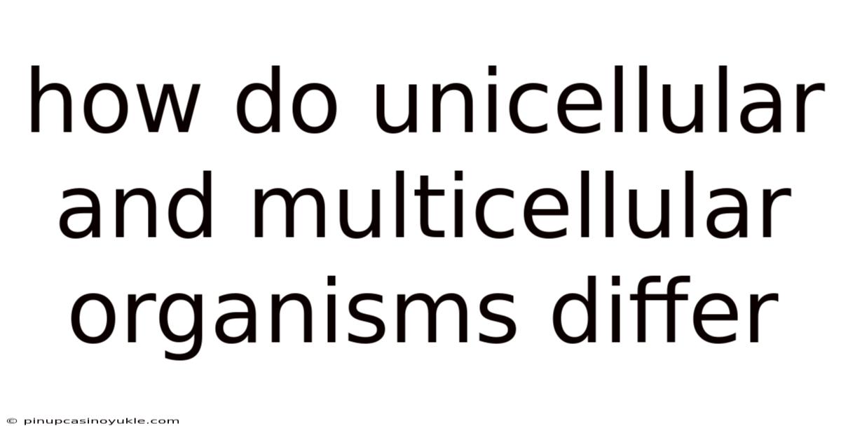 How Do Unicellular And Multicellular Organisms Differ