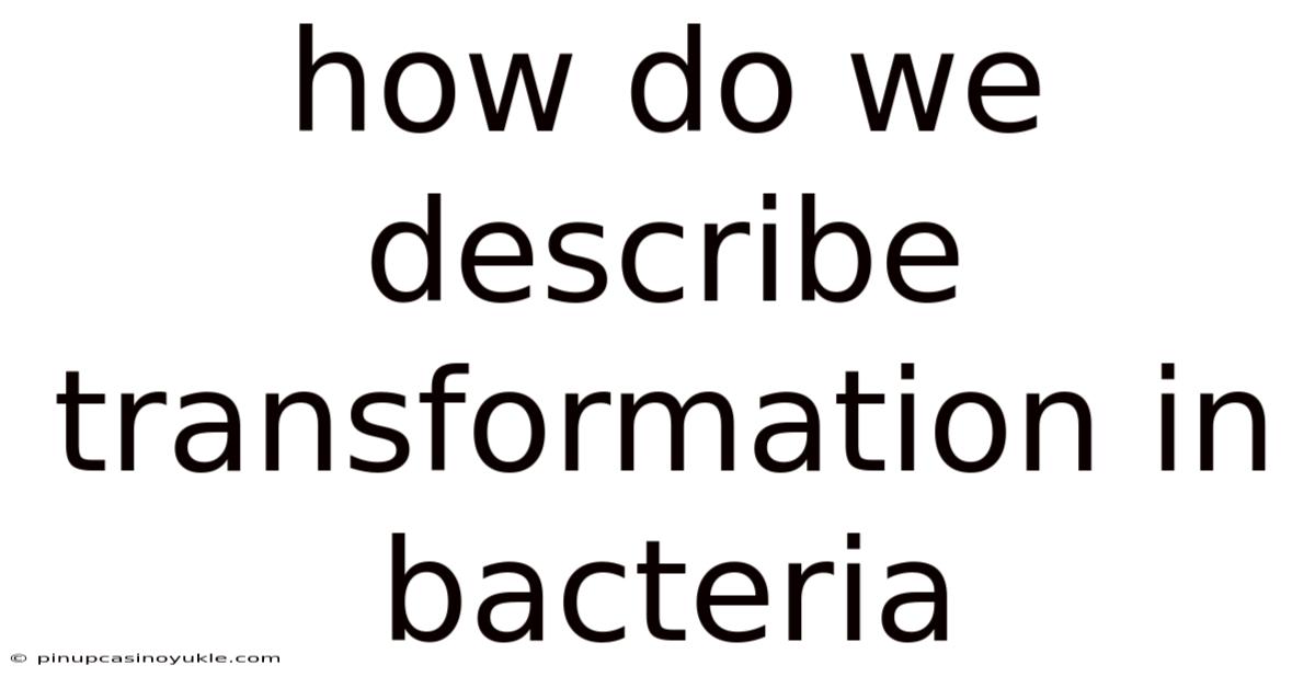 How Do We Describe Transformation In Bacteria
