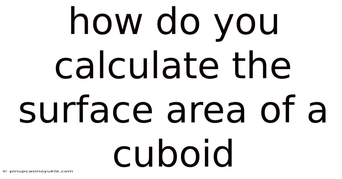 How Do You Calculate The Surface Area Of A Cuboid
