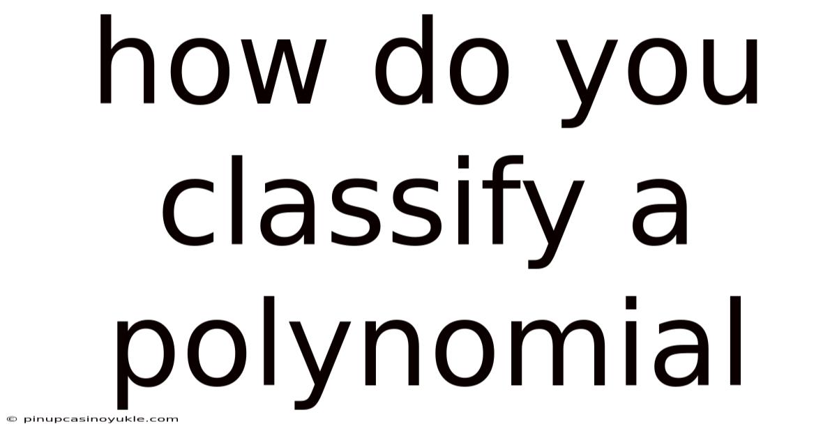 How Do You Classify A Polynomial