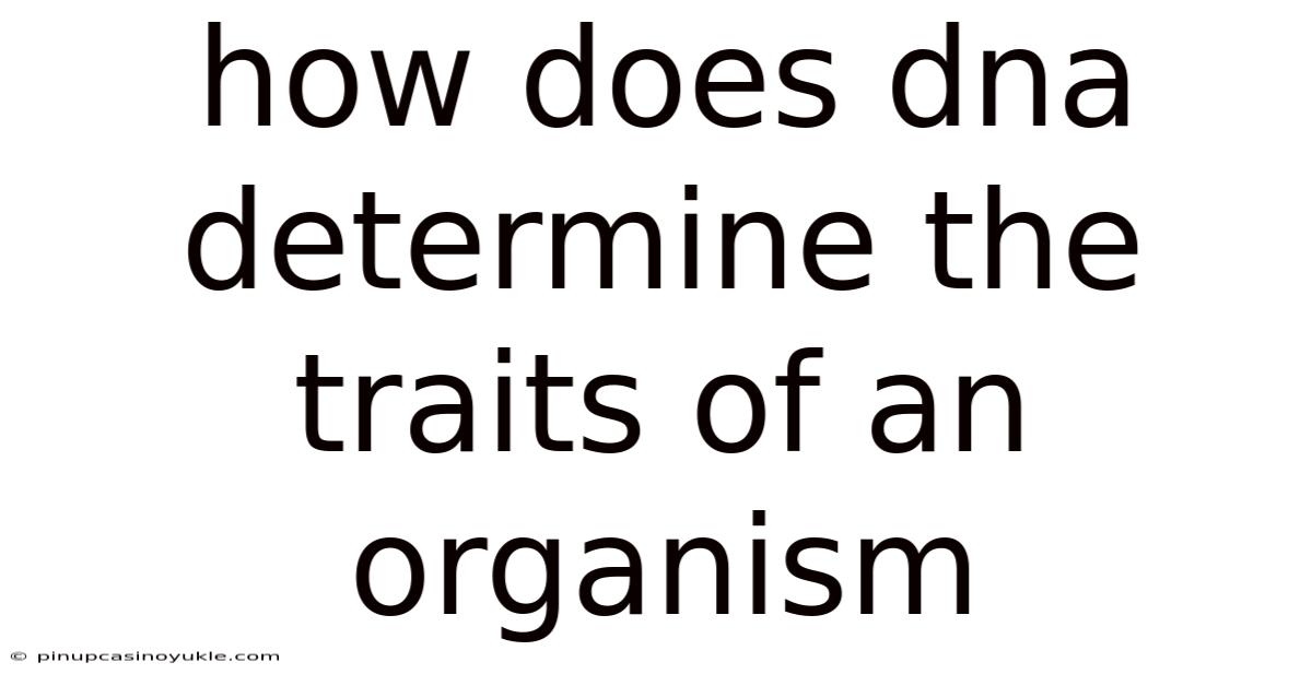 How Does Dna Determine The Traits Of An Organism