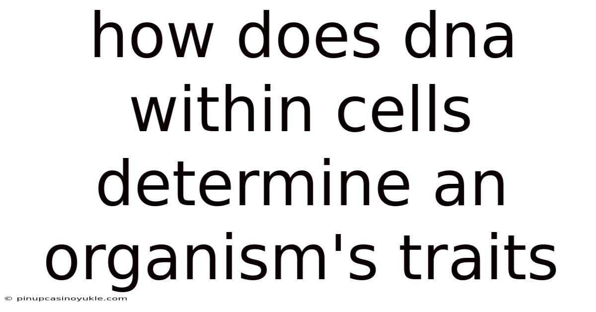 How Does Dna Within Cells Determine An Organism's Traits