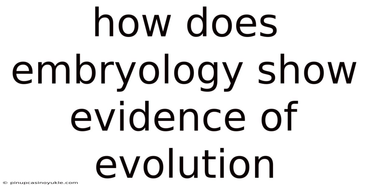 How Does Embryology Show Evidence Of Evolution