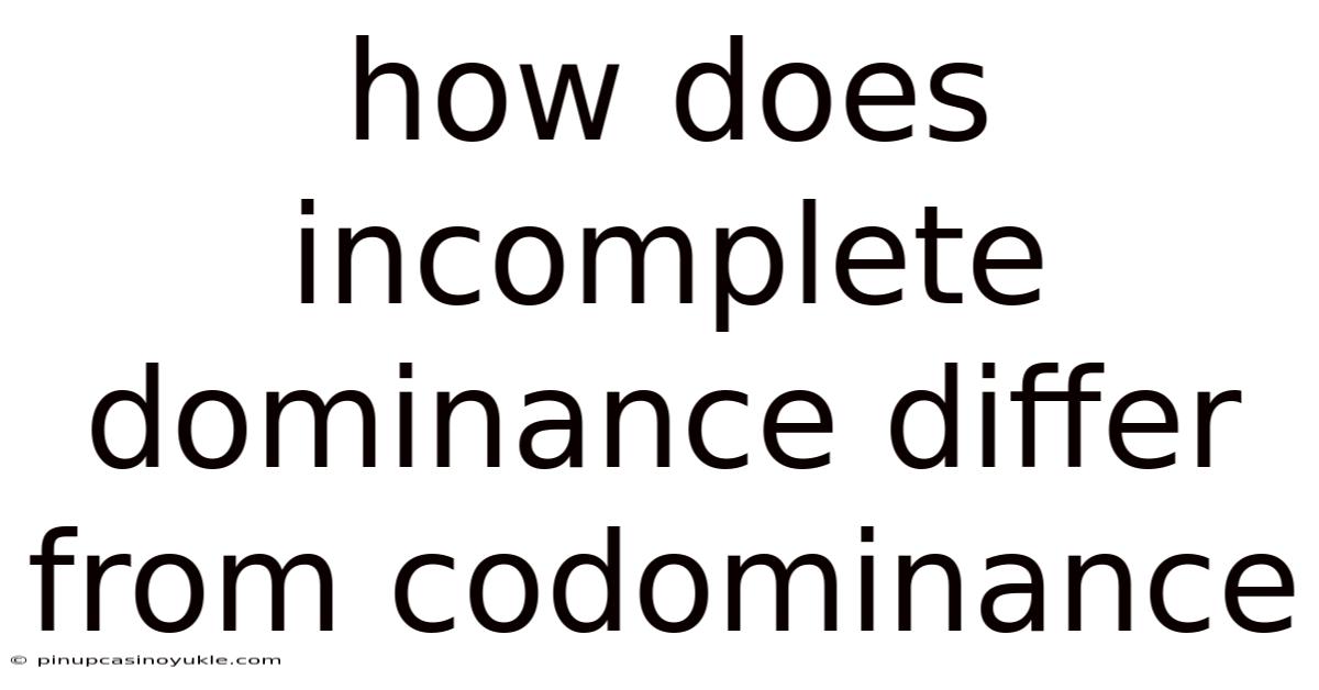 How Does Incomplete Dominance Differ From Codominance