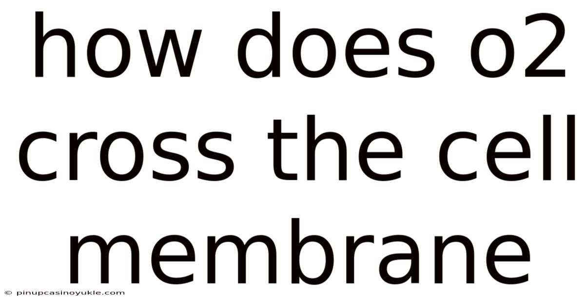 How Does O2 Cross The Cell Membrane