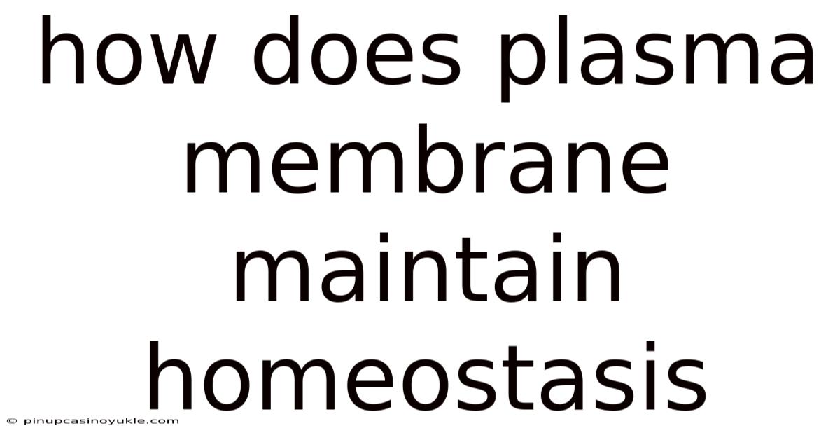 How Does Plasma Membrane Maintain Homeostasis