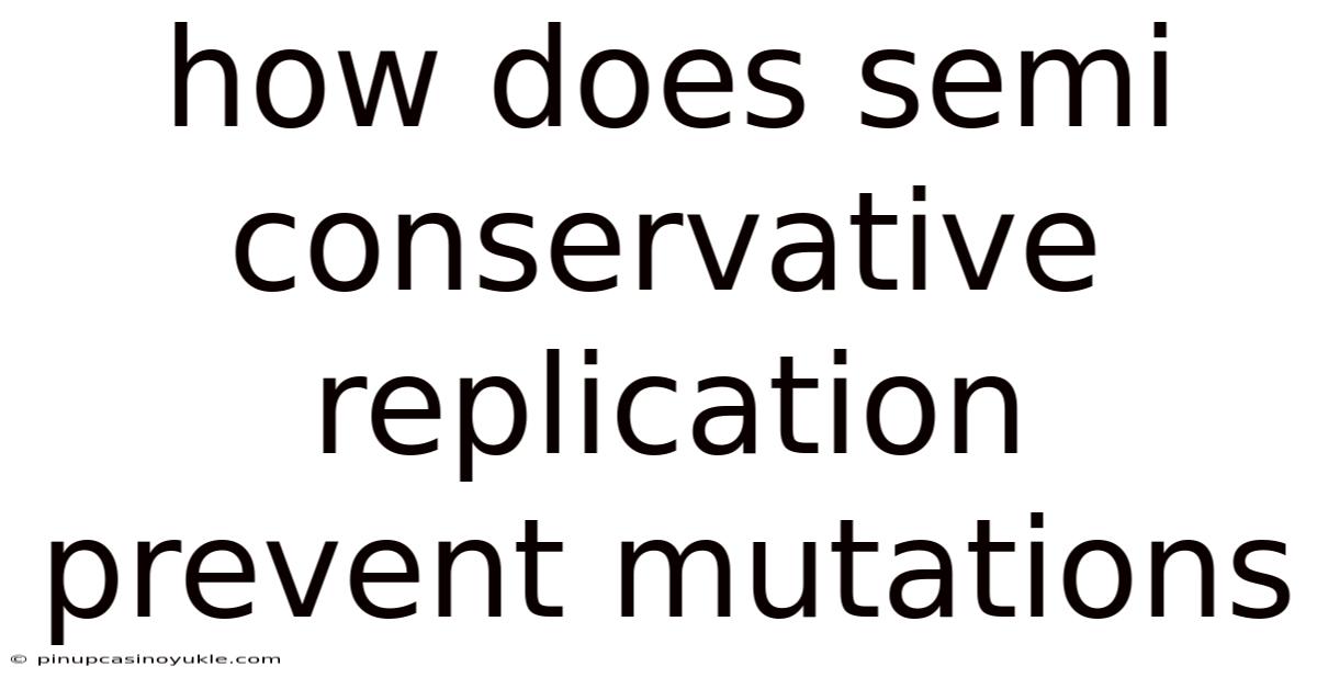 How Does Semi Conservative Replication Prevent Mutations