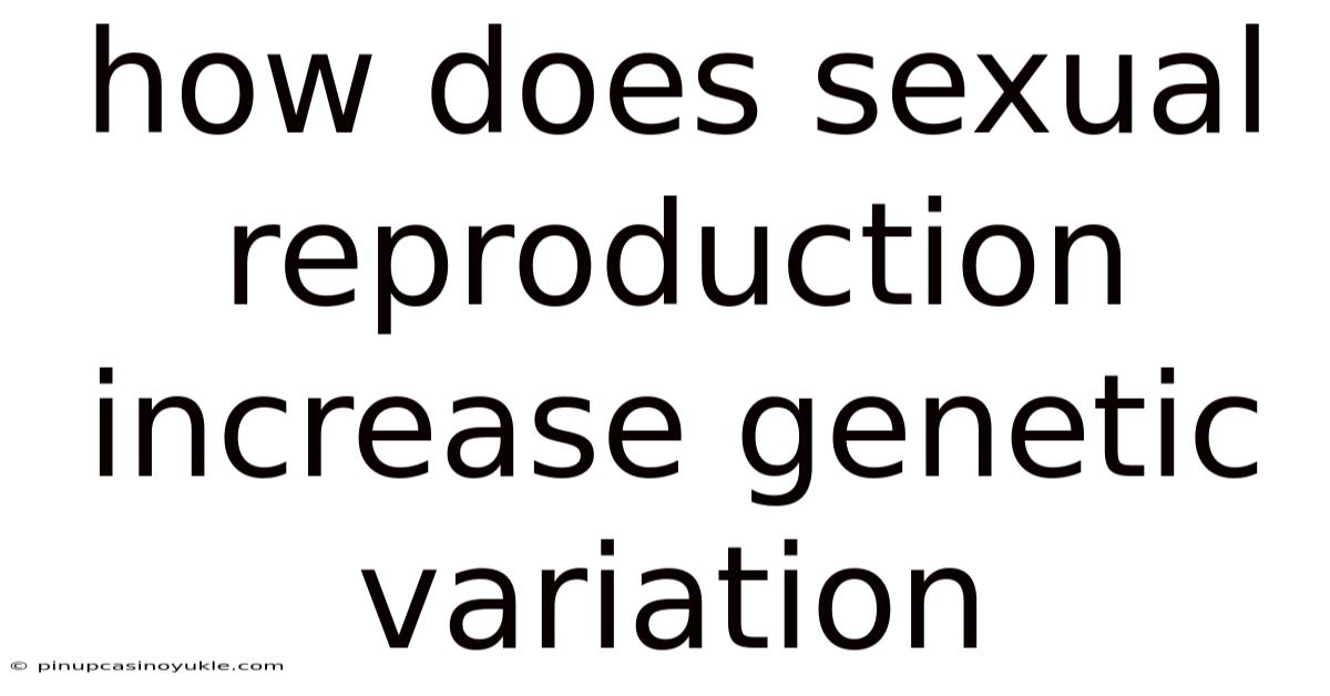 How Does Sexual Reproduction Increase Genetic Variation