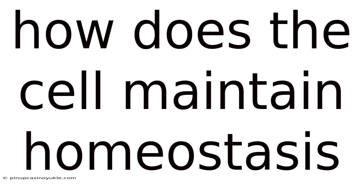 How Does The Cell Maintain Homeostasis