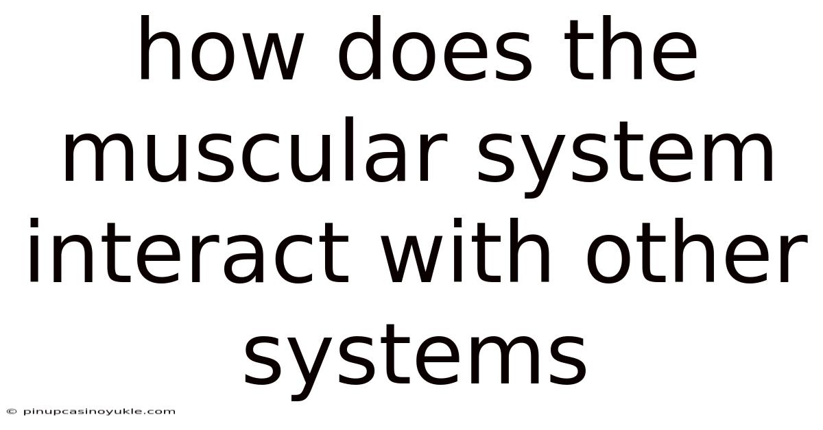 How Does The Muscular System Interact With Other Systems