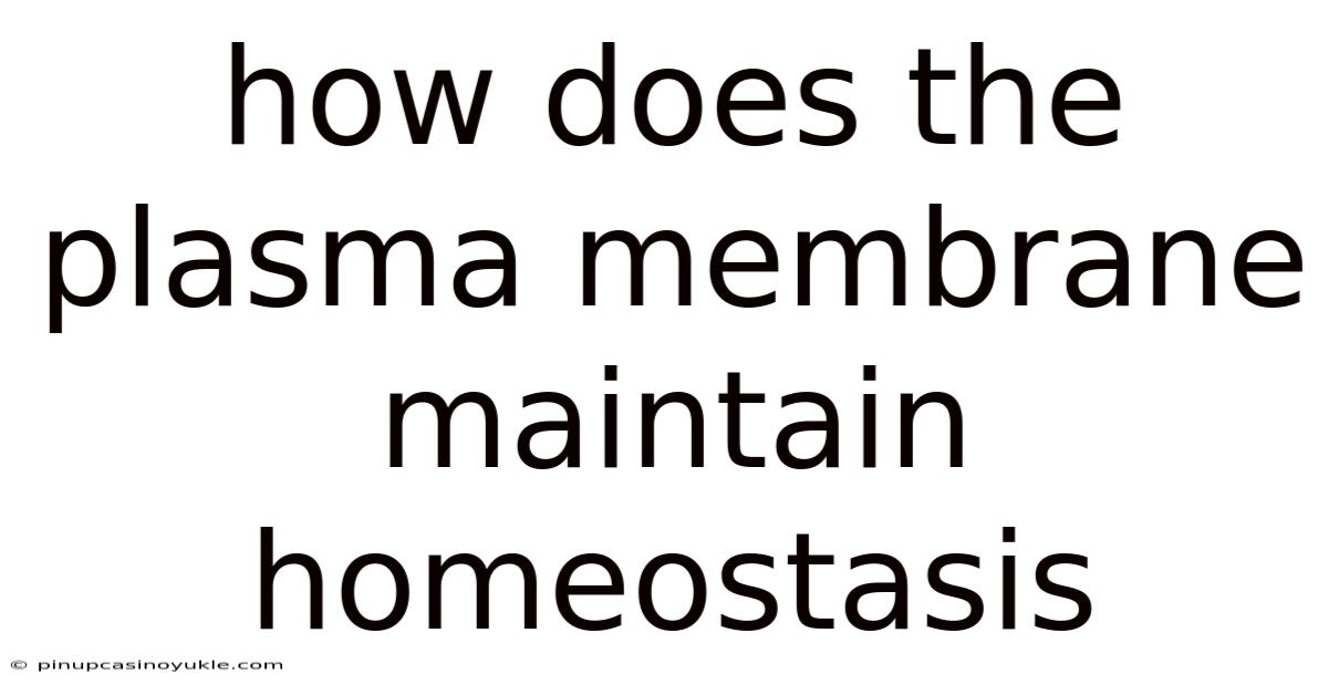 How Does The Plasma Membrane Maintain Homeostasis